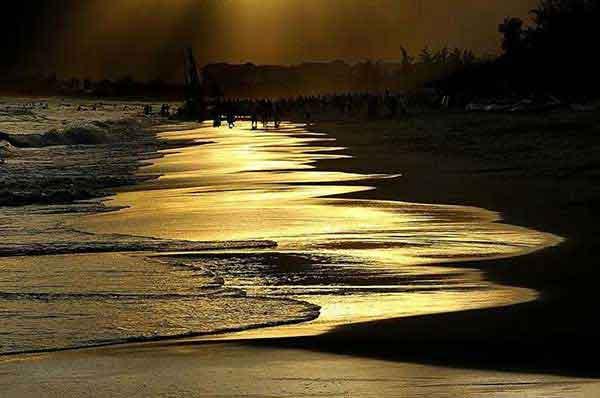 空調里有蟑螂怎么辦