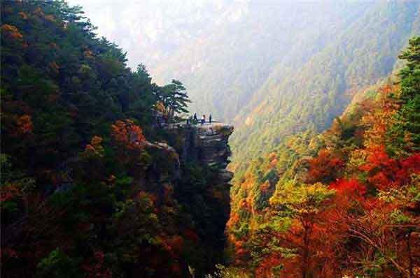 圖解:高考防疫,專家來支招