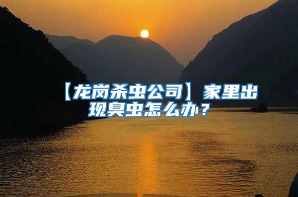 【龍崗殺蟲公司】家里出現(xiàn)臭蟲怎么辦?