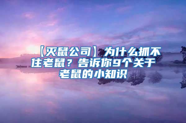 【滅鼠公司】為什么抓不住老鼠?告訴你9個關于老鼠的小知識