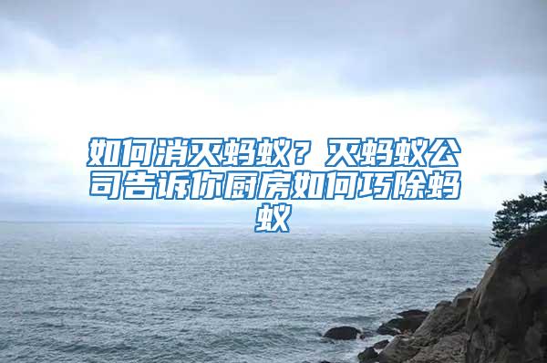 如何消滅螞蟻？滅螞蟻公司告訴你廚房如何巧除螞蟻