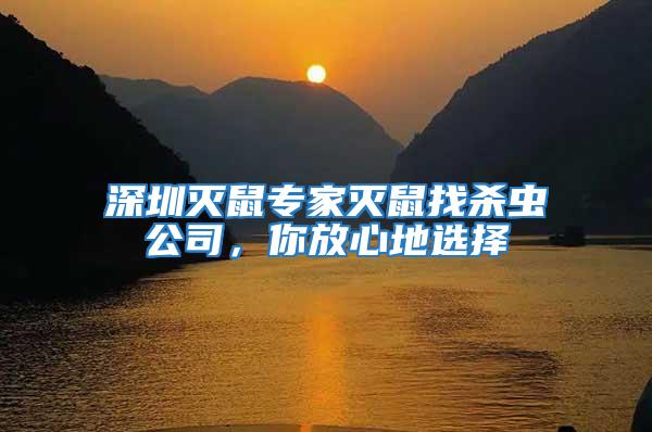 深圳滅鼠專家滅鼠找殺蟲公司,你放心地選擇
