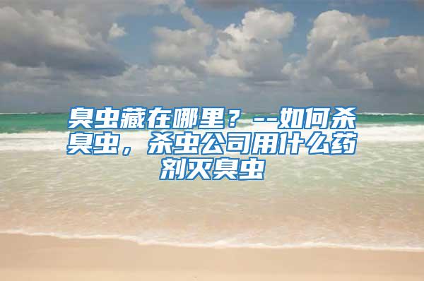 臭蟲藏在哪里?--如何殺臭蟲,殺蟲公司用什么藥劑滅臭蟲