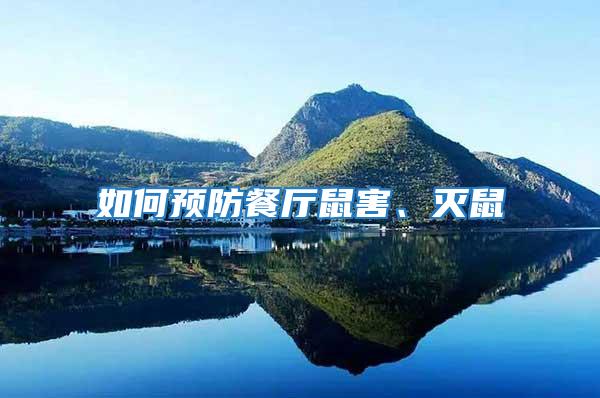 如何預防餐廳鼠害、滅鼠