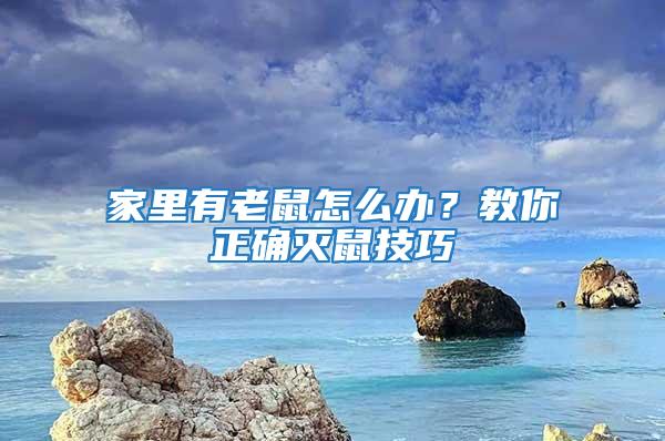 家里有老鼠怎么辦?教你正確滅鼠技巧