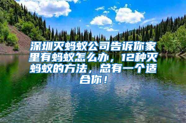深圳滅螞蟻公司告訴你家里有螞蟻怎么辦，12種滅螞蟻的方法，總有一個(gè)適合你！