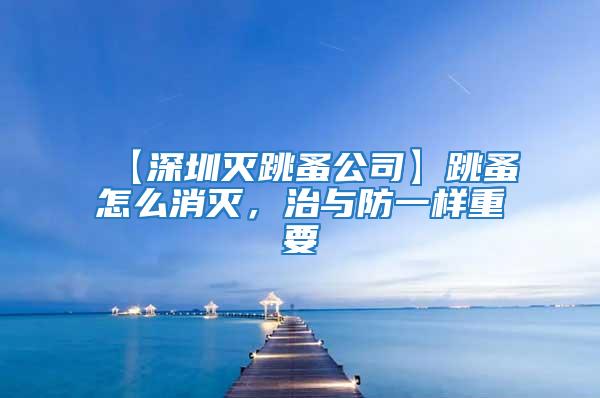 【深圳滅跳蚤公司】跳蚤怎么消滅,治與防一樣重要