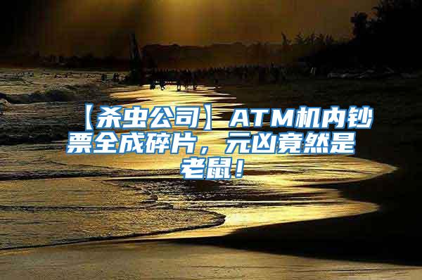 【殺蟲公司】ATM機內鈔票全成碎片，元兇竟然是老鼠！