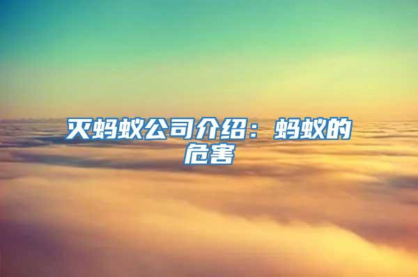 滅螞蟻公司介紹:螞蟻的危害