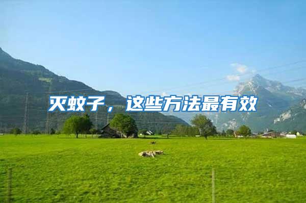 滅蚊子，這些方法最有效