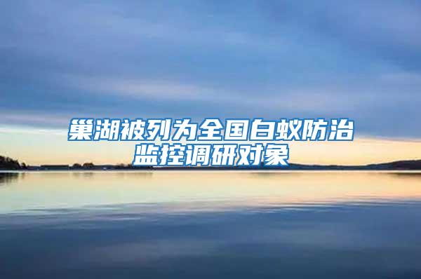 巢湖被列為全國白蟻防治監控調研對象