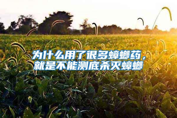 為什么用了很多蟑螂藥，就是不能測(cè)底殺滅蟑螂