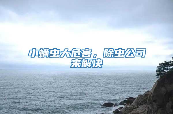 小螨蟲大危害,除蟲公司來解決