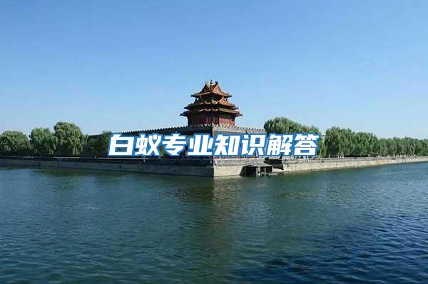 白蟻專業知識解答