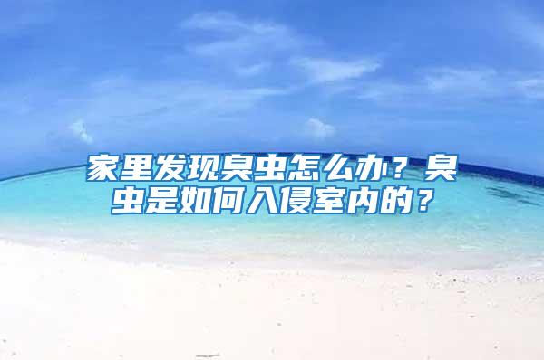 家里發(fā)現(xiàn)臭蟲怎么辦?臭蟲是如何入侵室內(nèi)的?