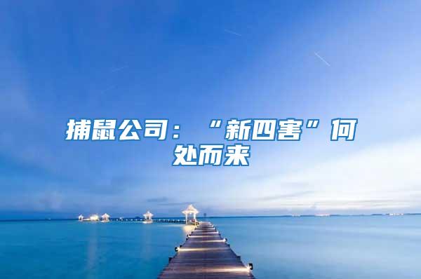 捕鼠公司:“新四害”何處而來