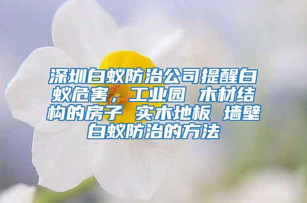 深圳白蟻防治公司提醒白蟻危害，工業園 木材結構的房子 實木地板 墻壁白蟻防治的方法