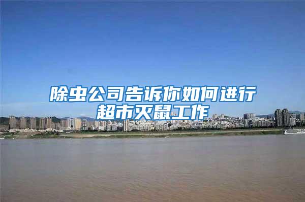 除蟲公司告訴你如何進行超市滅鼠工作