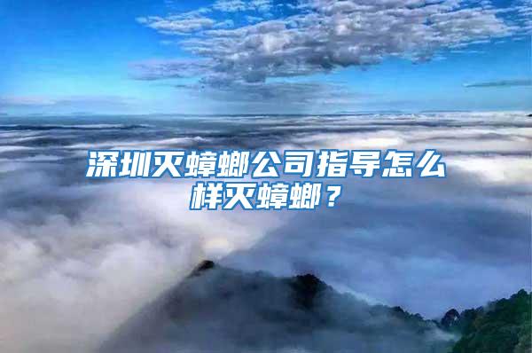 深圳滅蟑螂公司指導怎么樣滅蟑螂？