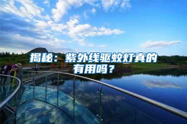 揭秘：紫外線驅蚊燈真的有用嗎？