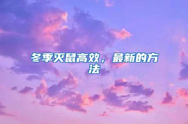 冬季滅鼠高效，最新的方法