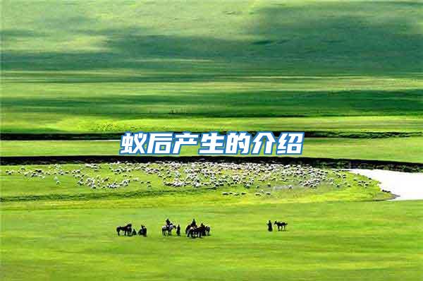 蟻后產生的介紹