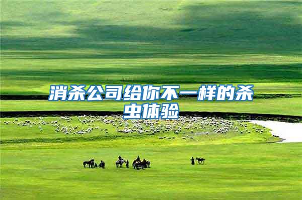 消殺公司給你不一樣的殺蟲體驗