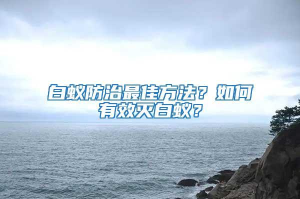 白蟻防治最佳方法?如何有效滅白蟻?