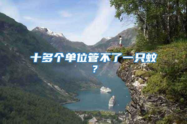 十多個(gè)單位管不了一只蚊？