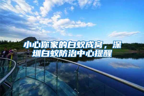 小心你家的白蟻成窩，深圳白蟻防治中心提醒