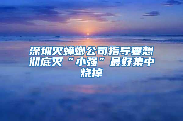 深圳滅蟑螂公司指導要想徹底滅“小強”最好集中燒掉