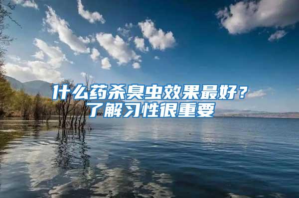 什么藥殺臭蟲效果最好?了解習性很重要