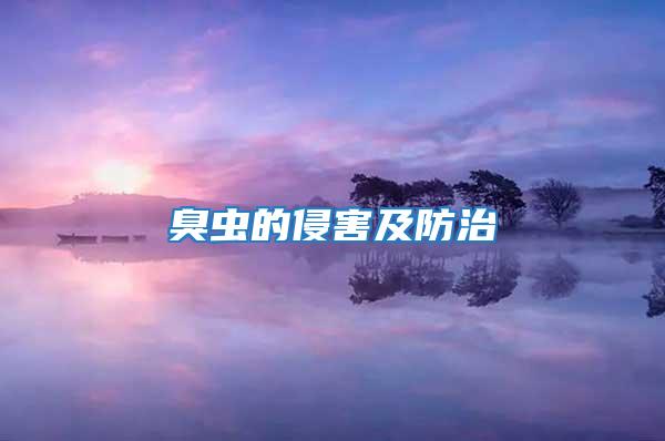 臭蟲的侵害及防治