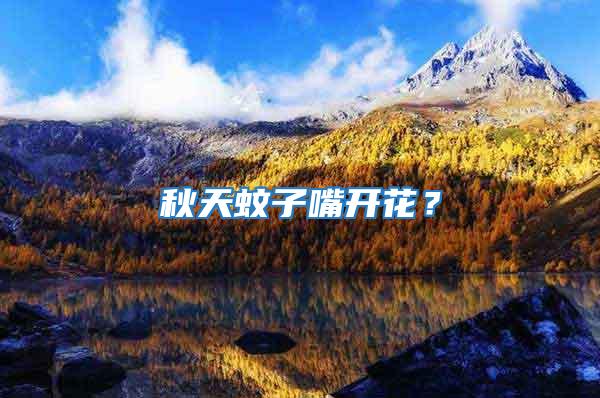 秋天蚊子嘴開花?