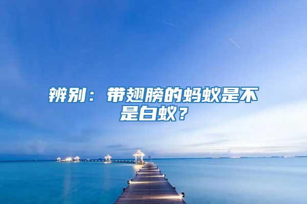 辨別:帶翅膀的螞蟻是不是白蟻?