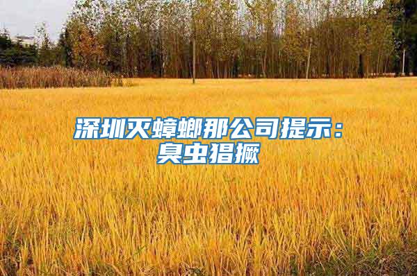 深圳滅蟑螂那公司提示:臭蟲猖撅