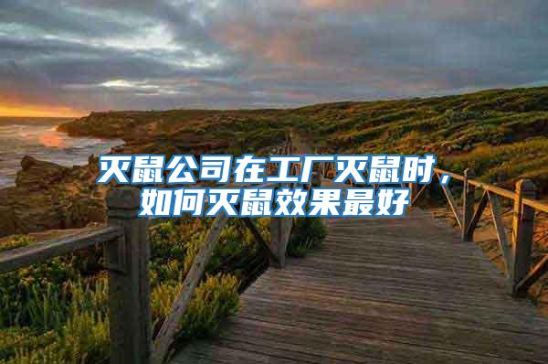 滅鼠公司在工廠滅鼠時,如何滅鼠效果最好