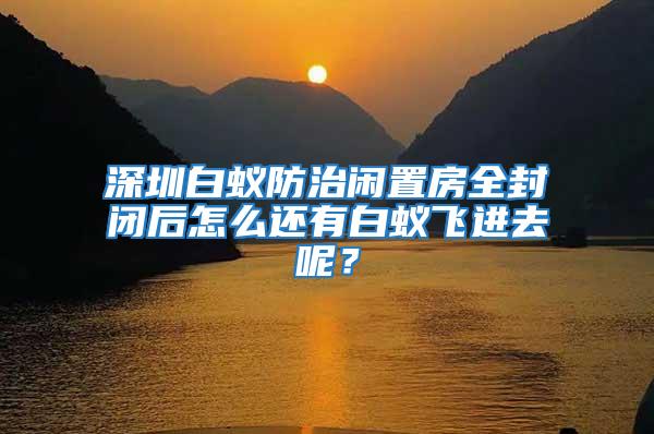 深圳白蟻防治閑置房全封閉后怎么還有白蟻飛進去呢?