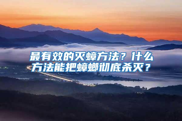 最有效的滅蟑方法?什么方法能把蟑螂徹底殺滅?