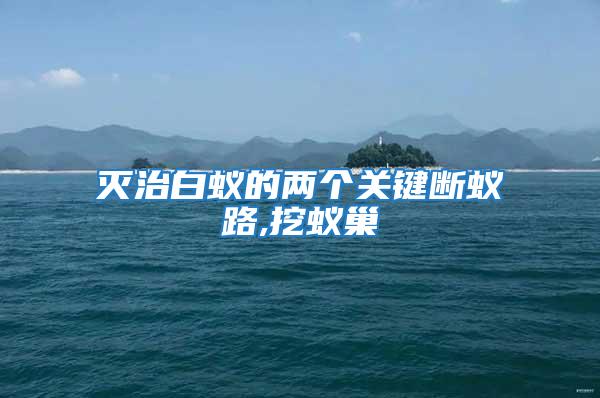 滅治白蟻的兩個關鍵斷蟻路,挖蟻巢