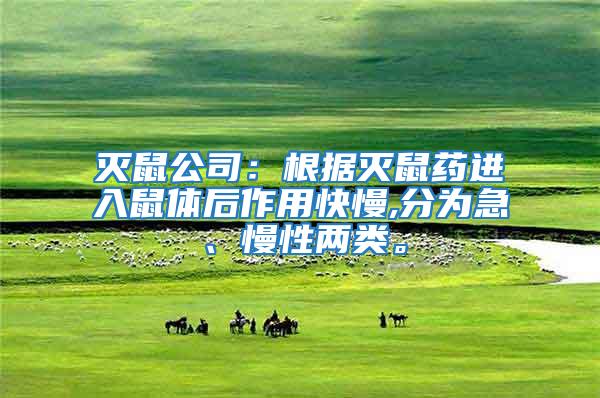 滅鼠公司:根據滅鼠藥進入鼠體后作用快慢,分為急、慢性兩類。