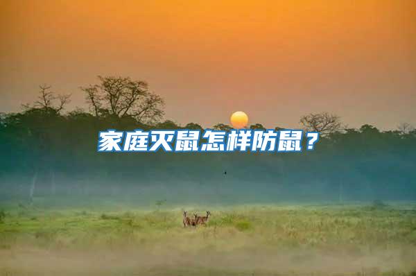 家庭滅鼠怎樣防鼠?