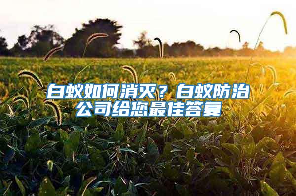 白蟻如何消滅?白蟻防治公司給您最佳答復
