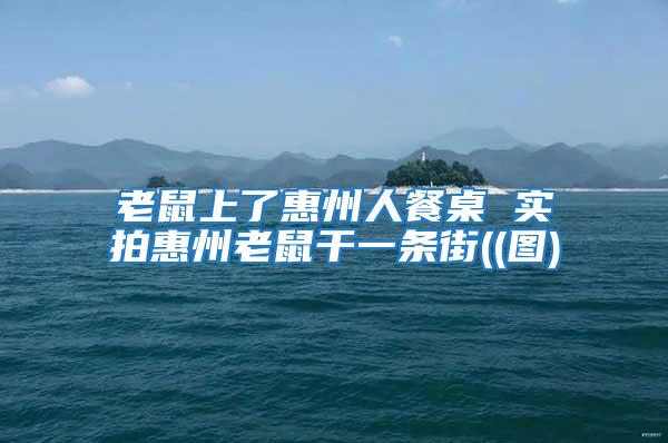 老鼠上了惠州人餐桌 實拍惠州老鼠干一條街((圖)