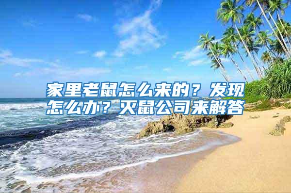 家里老鼠怎么來(lái)的?發(fā)現(xiàn)怎么辦?滅鼠公司來(lái)解答