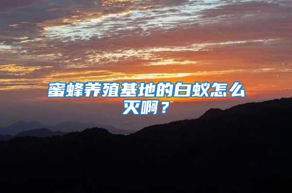 蜜蜂養殖基地的白蟻怎么滅??？