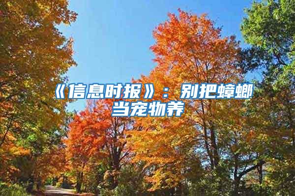 《信息時報》:別把蟑螂當寵物養(yǎng)