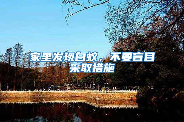 家里發現白蟻，不要盲目采取措施