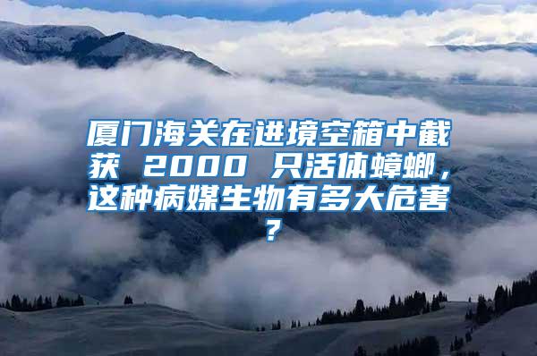 廈門海關在進境空箱中截獲 2000 只活體蟑螂，這種病媒生物有多大危害？
