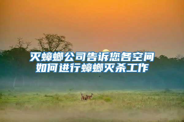 滅蟑螂公司告訴您各空間如何進行蟑螂滅殺工作